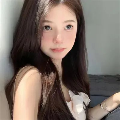 沙普的伙伴